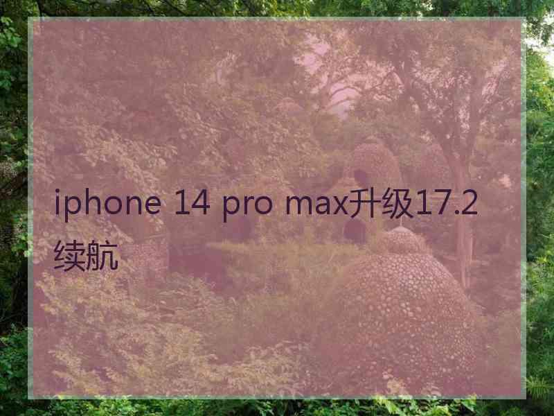 iphone 14 pro max升级17.2续航