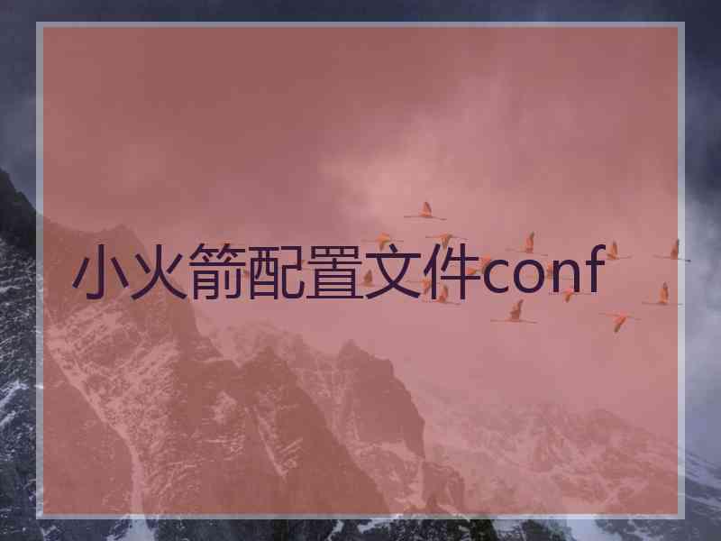 小火箭配置文件conf