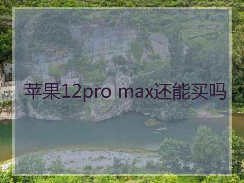 苹果12pro max还能买吗