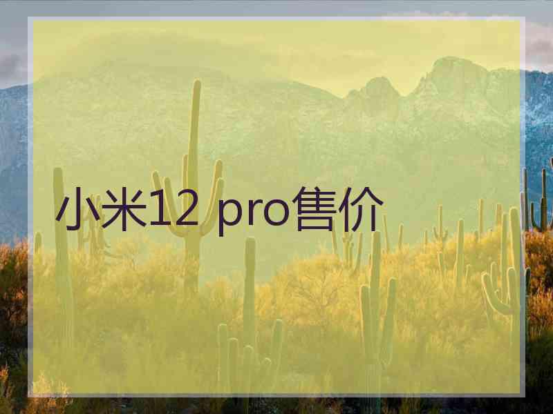 小米12 pro售价