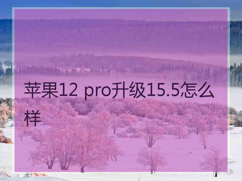 苹果12 pro升级15.5怎么样