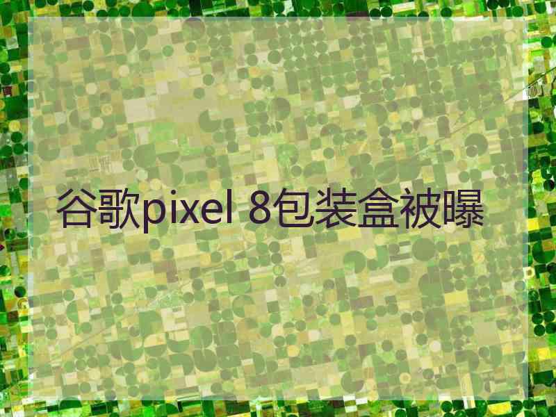 谷歌pixel 8包装盒被曝