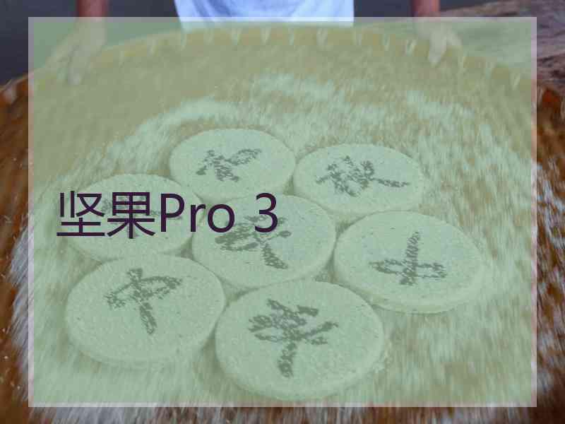 坚果Pro 3