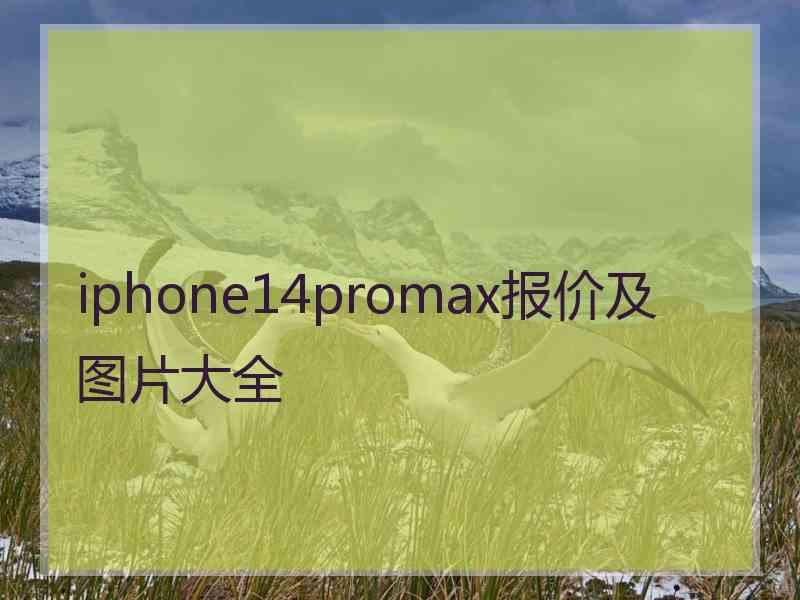 iphone14promax报价及图片大全