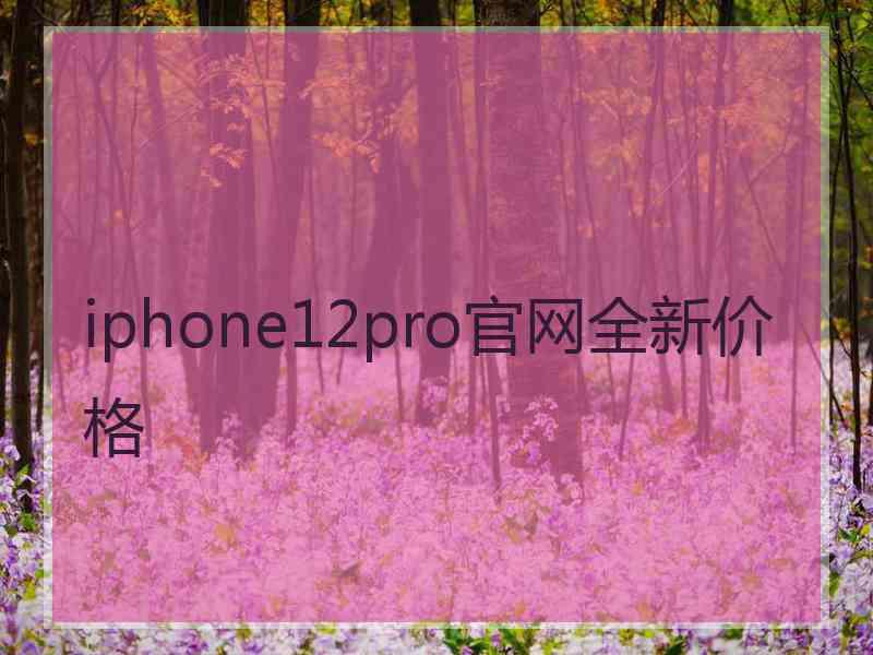 iphone12pro官网全新价格