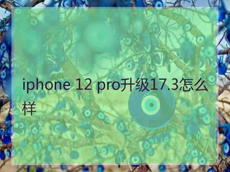 iphone 12 pro升级17.3怎么样