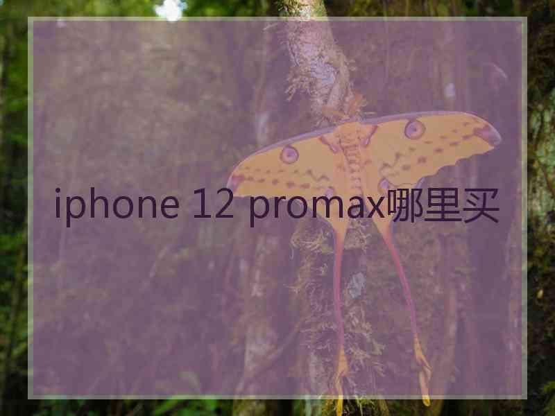 iphone 12 promax哪里买