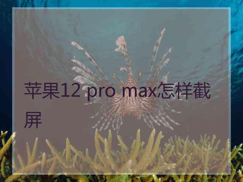 苹果12 pro max怎样截屏