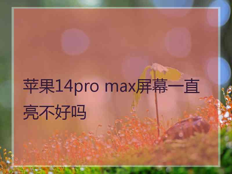 苹果14pro max屏幕一直亮不好吗