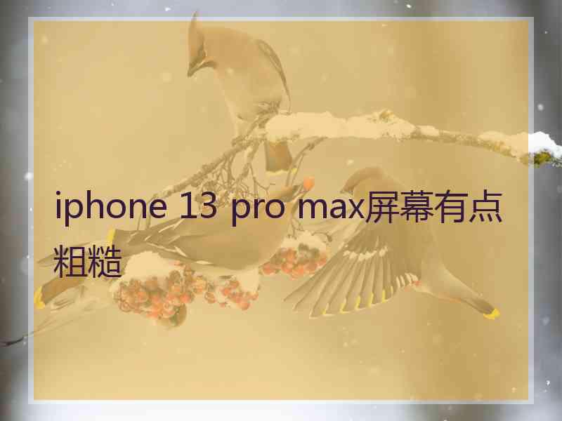 iphone 13 pro max屏幕有点粗糙