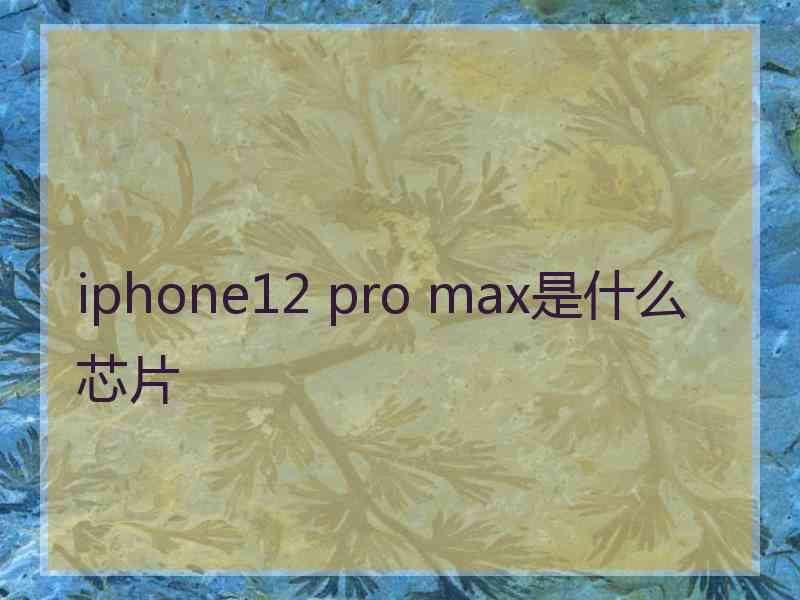 iphone12 pro max是什么芯片