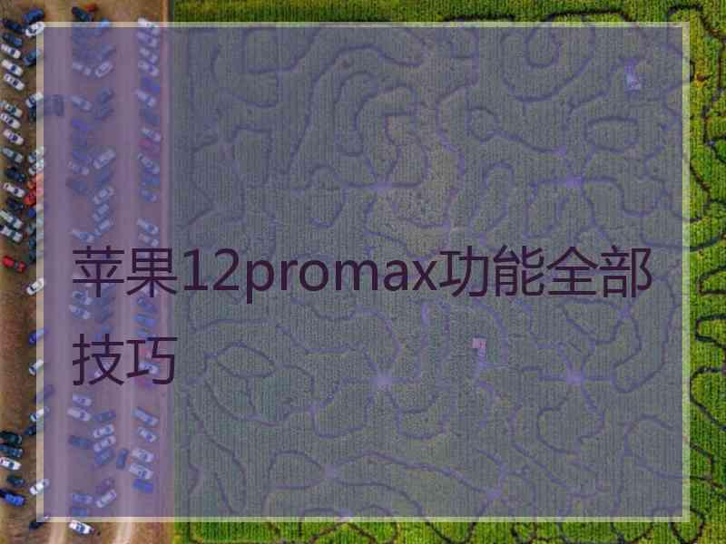 苹果12promax功能全部技巧