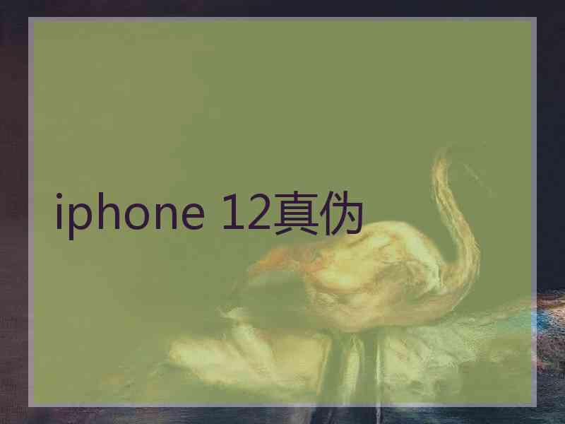 iphone 12真伪