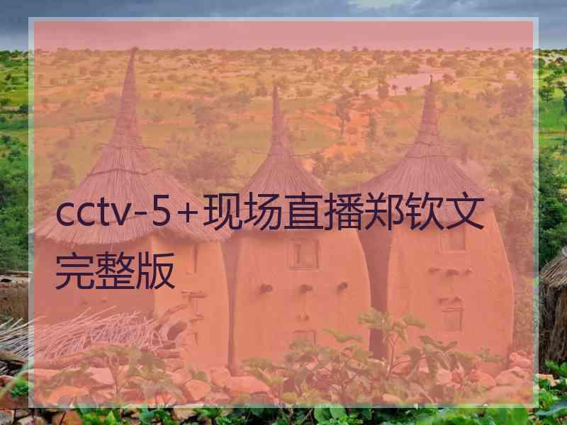 cctv-5+现场直播郑钦文完整版