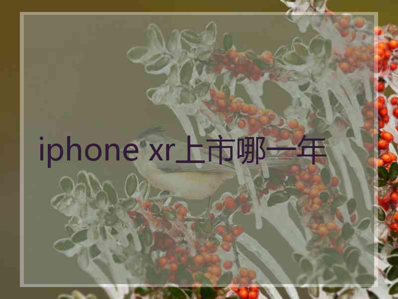 iphone xr上市哪一年