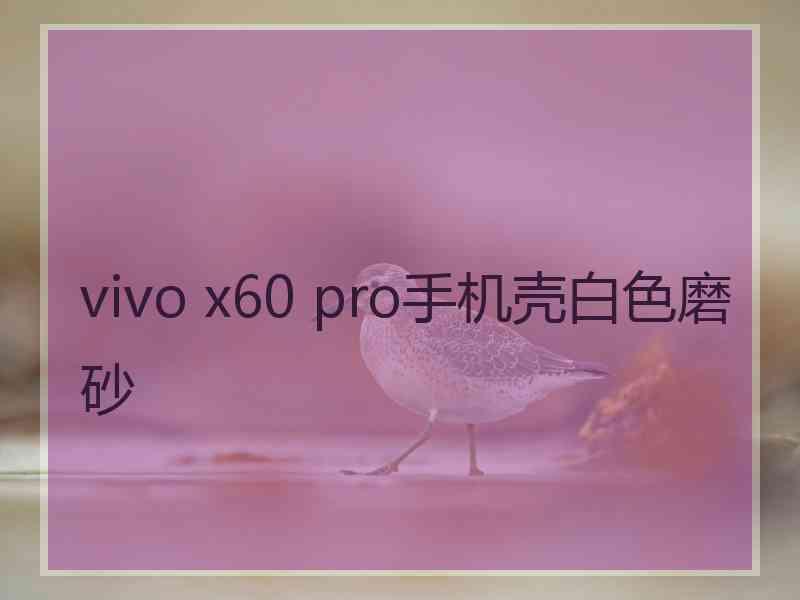 vivo x60 pro手机壳白色磨砂