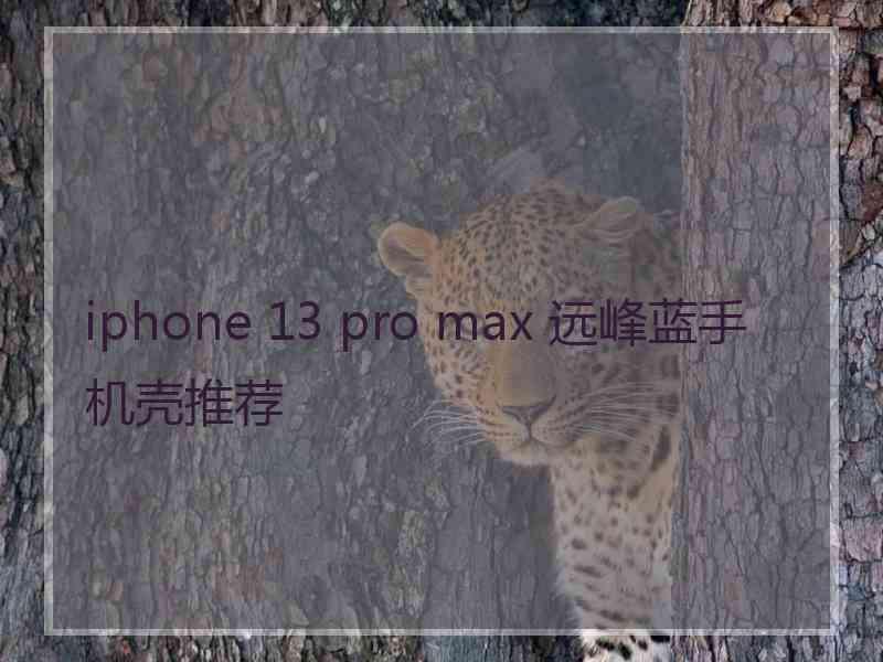 iphone 13 pro max 远峰蓝手机壳推荐