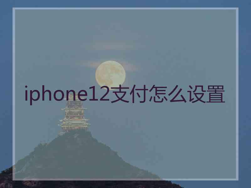 iphone12支付怎么设置