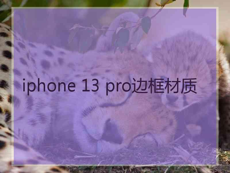 iphone 13 pro边框材质