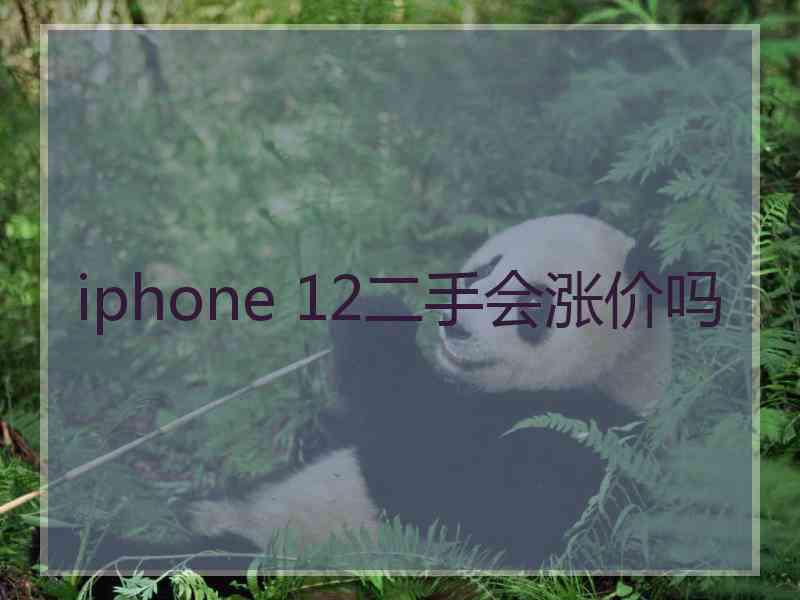 iphone 12二手会涨价吗