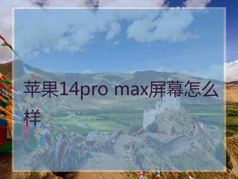 苹果14pro max屏幕怎么样