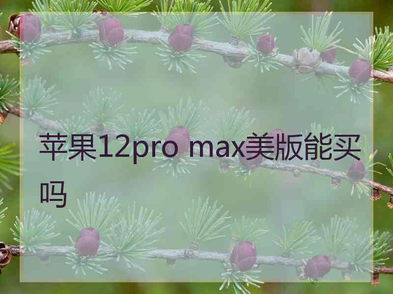 苹果12pro max美版能买吗