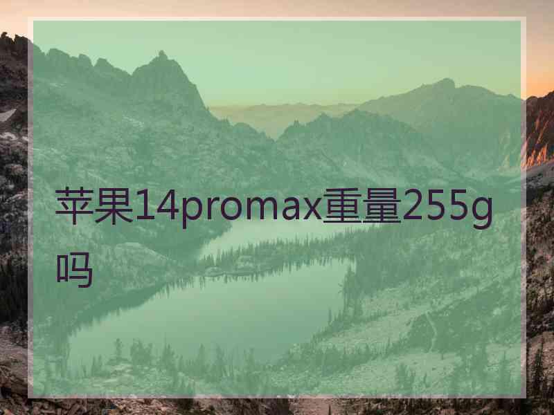 苹果14promax重量255g吗