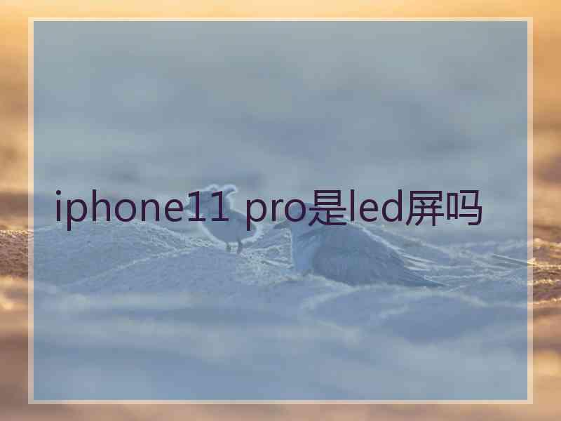 iphone11 pro是led屏吗