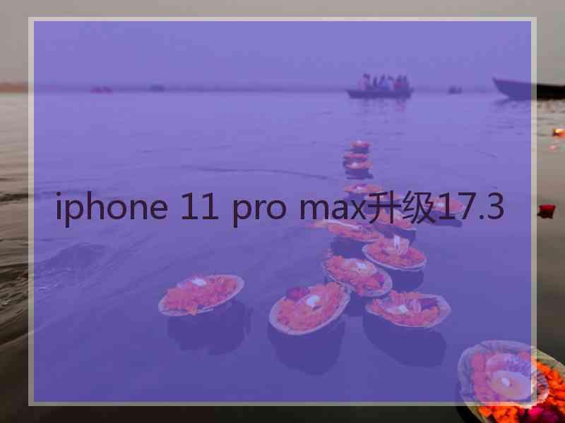 iphone 11 pro max升级17.3