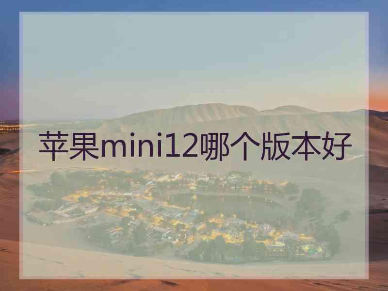 苹果mini12哪个版本好