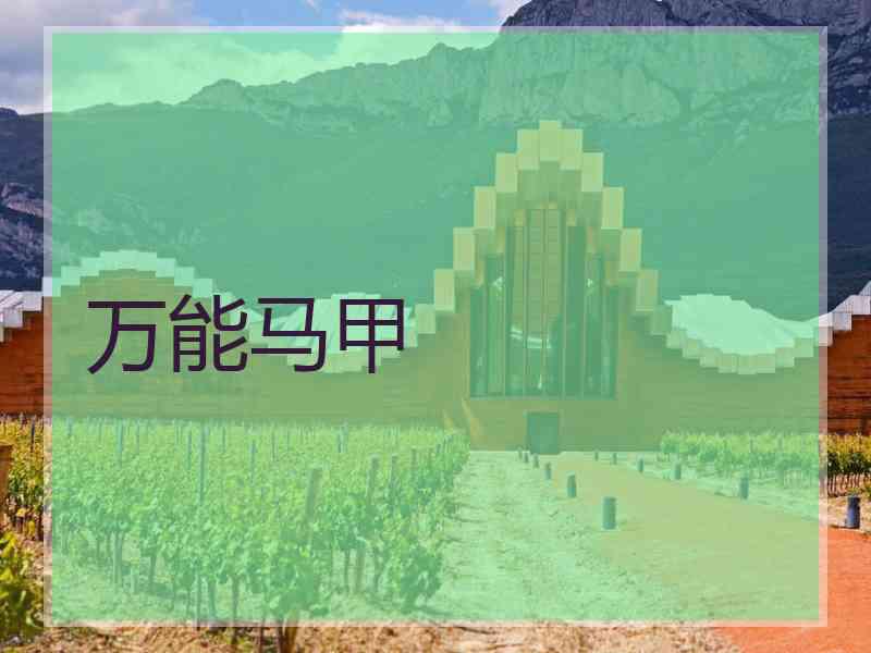 万能马甲