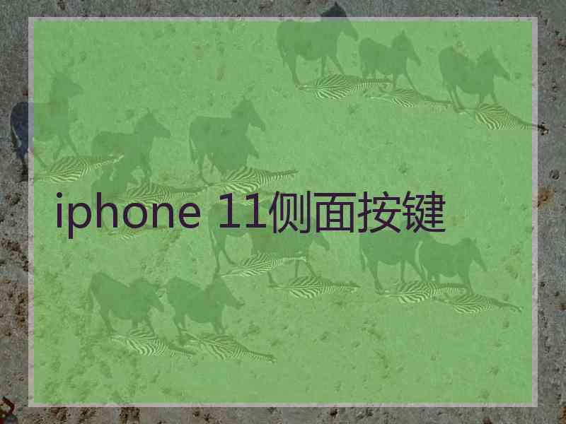 iphone 11侧面按键