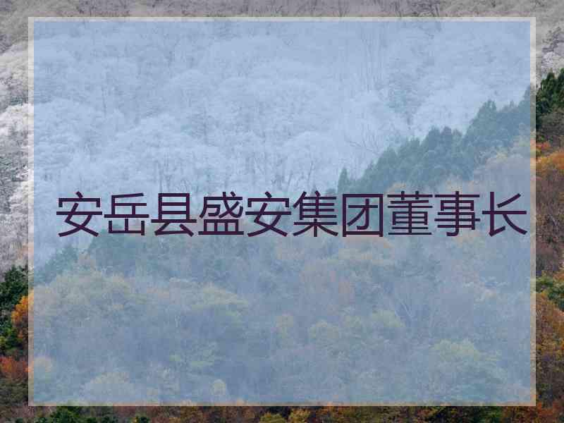 安岳县盛安集团董事长