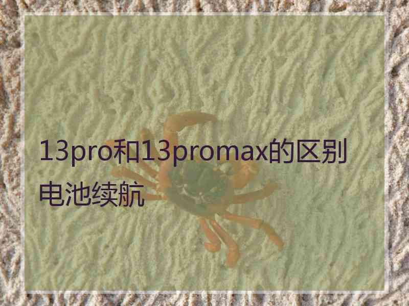 13pro和13promax的区别电池续航