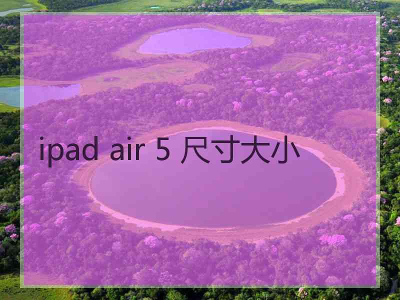 ipad air 5 尺寸大小