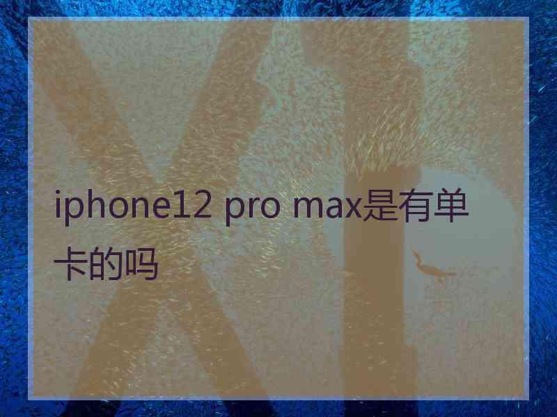 iphone12 pro max是有单卡的吗