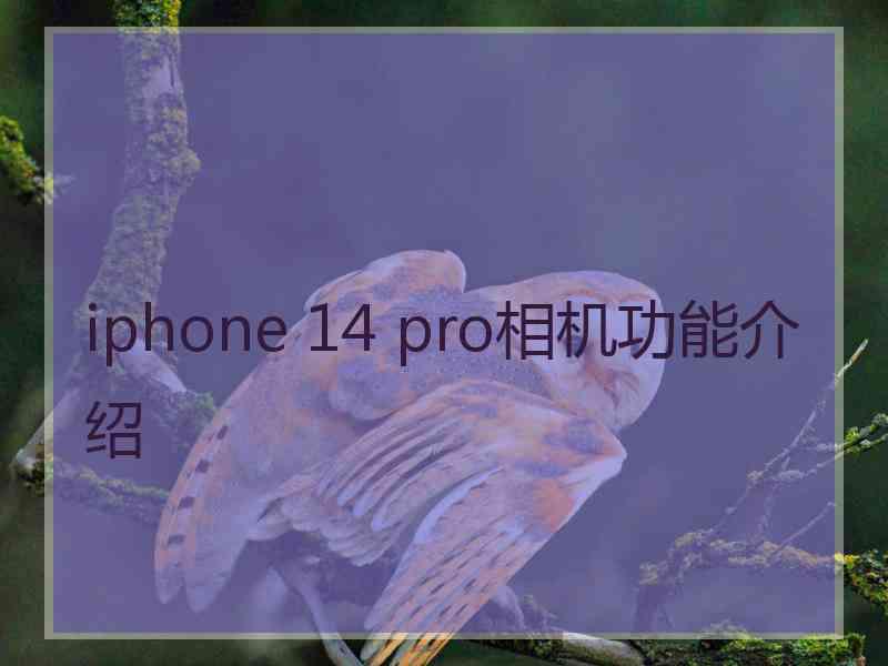 iphone 14 pro相机功能介绍