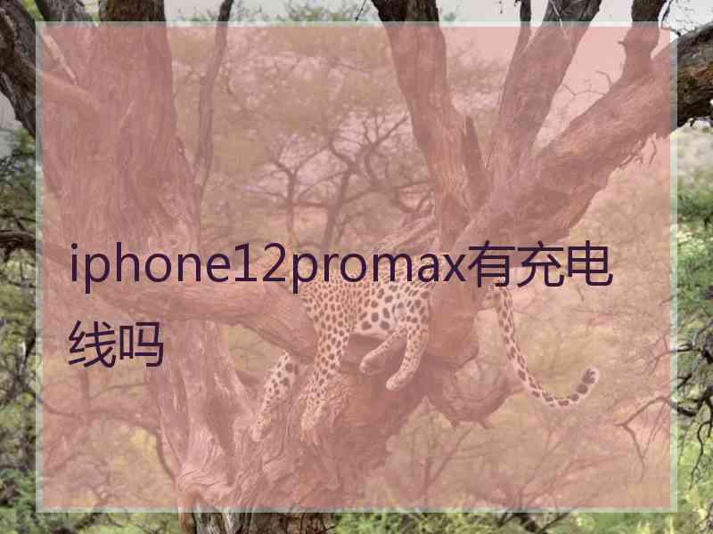 iphone12promax有充电线吗