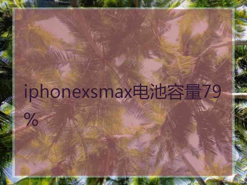 iphonexsmax电池容量79%