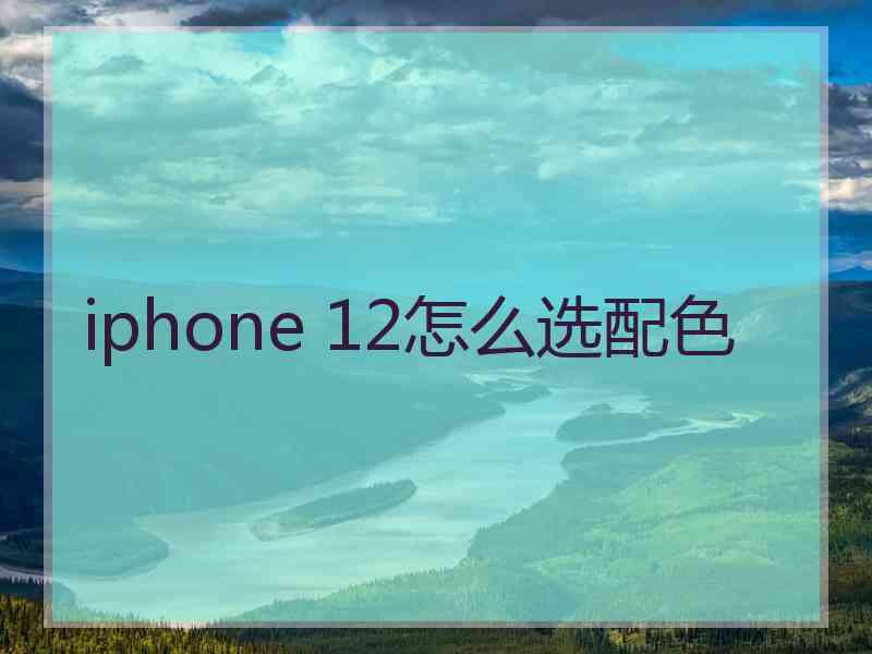 iphone 12怎么选配色