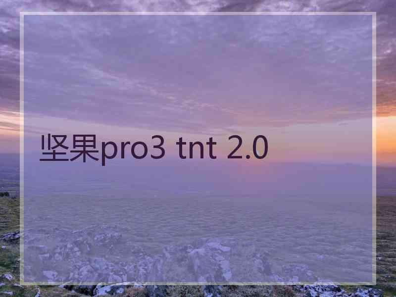 坚果pro3 tnt 2.0