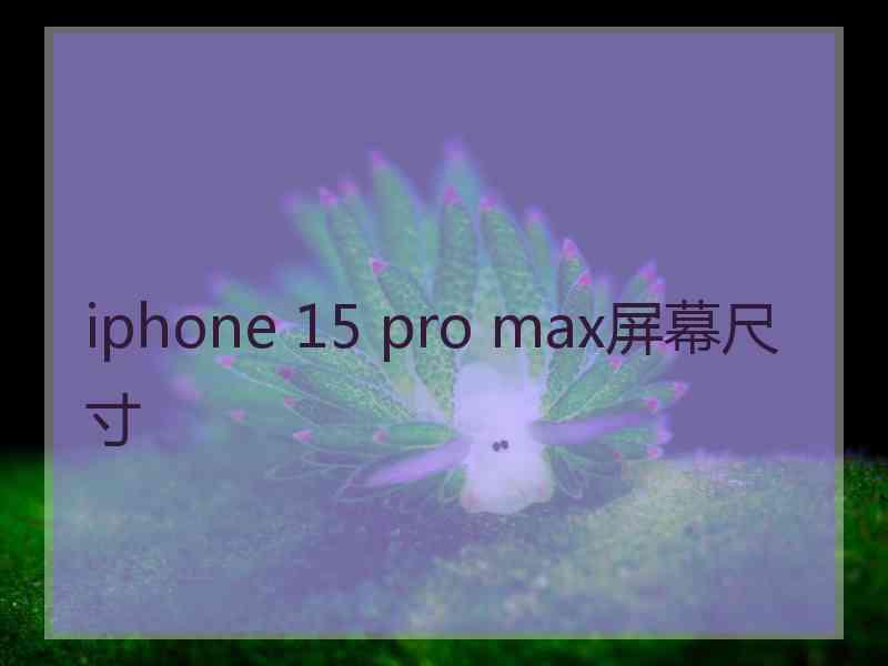 iphone 15 pro max屏幕尺寸