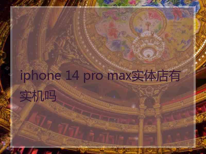 iphone 14 pro max实体店有实机吗