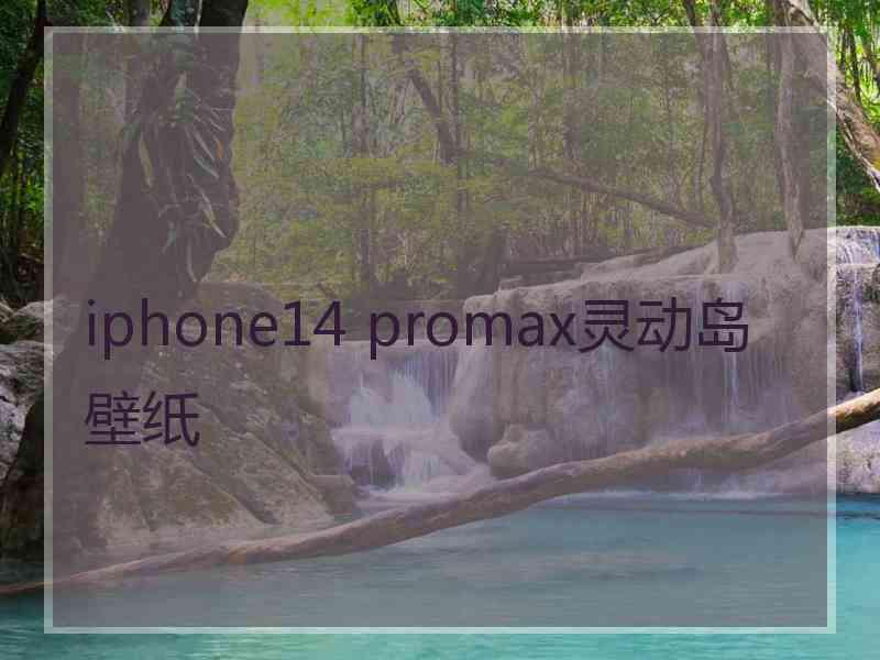 iphone14 promax灵动岛壁纸