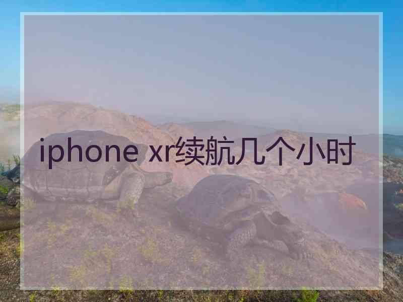 iphone xr续航几个小时