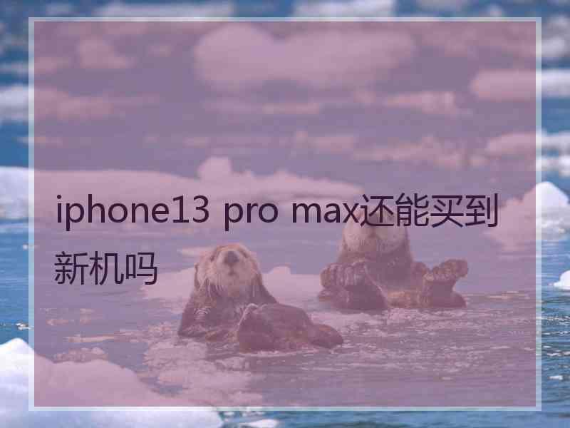 iphone13 pro max还能买到新机吗