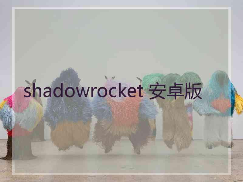 shadowrocket 安卓版