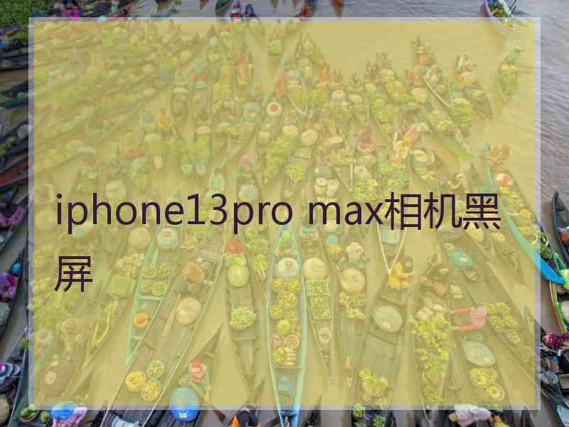 iphone13pro max相机黑屏