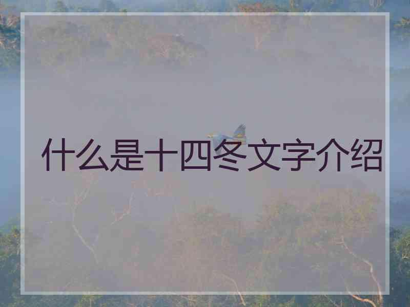 什么是十四冬文字介绍