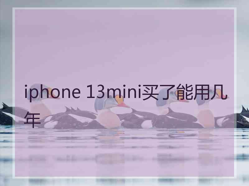 iphone 13mini买了能用几年